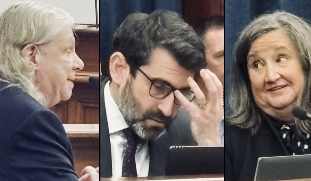 JUST IN: Justice Kavanaugh Demands Michigan Sec of State Benson Answer After 2 Democrat Canvassers Block Citizenship Petition Backed by 87% of Likely MI Voters [VIDEO]