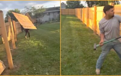 Homeowner Allegedly Refuses to Pay Latino Fence Crew — Workers Return and Tear the Fence Down Piece by Piece: “Maybe He Thought He Could Call ICE on Us”