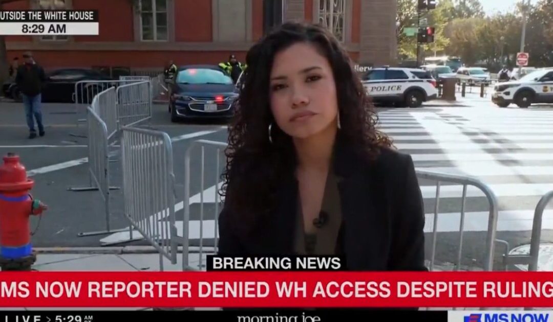 President Trump Didn’t ‘Defy’ Judge’s Order to Restore White House Access to CNN, Politico and MSNOW – Here’s What REALLY Happened
