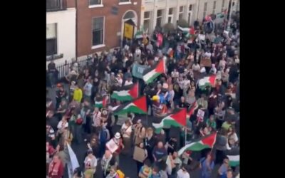 So There Was a Protest Saturday Against Donald Trump in Dublin – They Were Waving Palestinian Flags… In Ireland! WTH Was That?