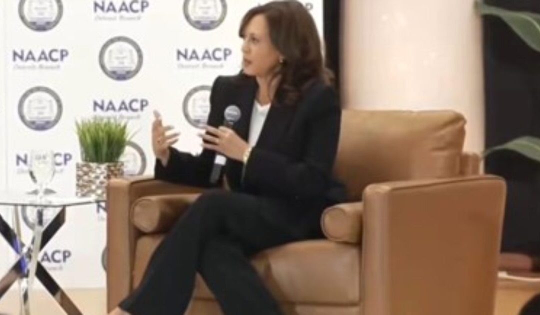 OOPS: Kamala Harris Says the Quiet Part Out Loud as She Whines About Republican Efforts to Ensure Fair Elections (VIDEO)