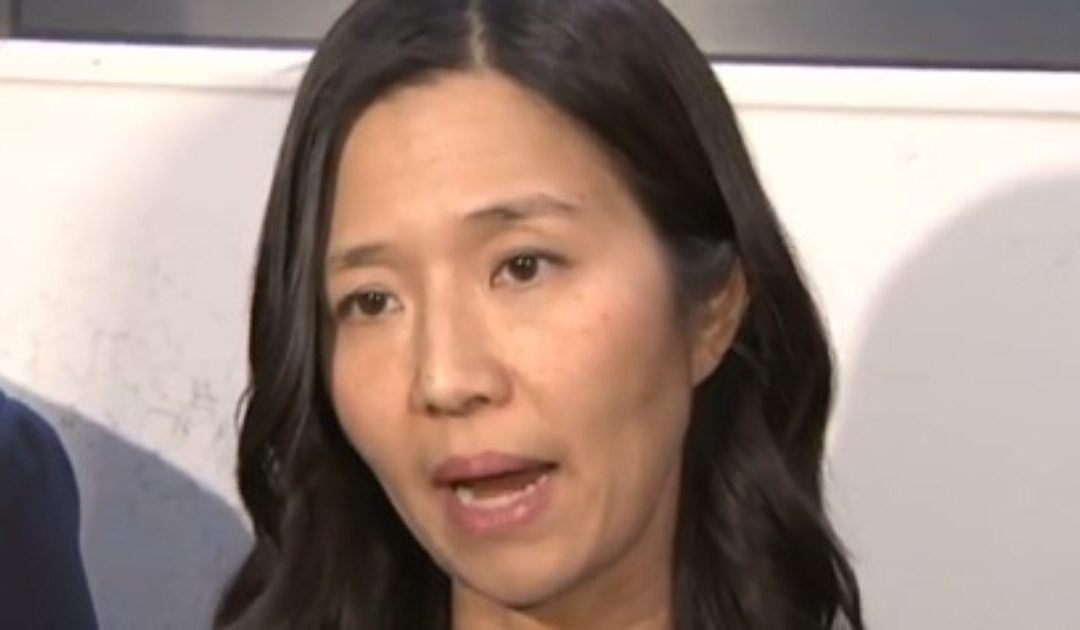 Boston Mayor Michelle Wu Giving Tax Dollars Exclusively to Immigrants and Non-Citizens to Train in Political Activism
