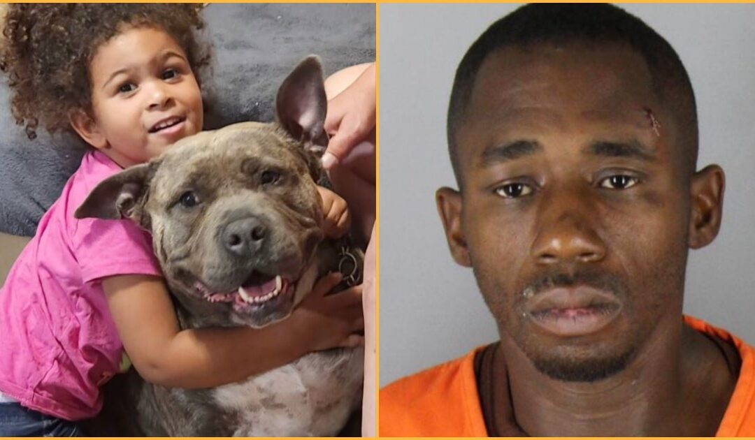HORRIFIC: Minnesota Mother Brutally Attacked With Hammer Inside Her Own Home — Brave Pit Bull Stops Suspect From Reaching Sleeping Children