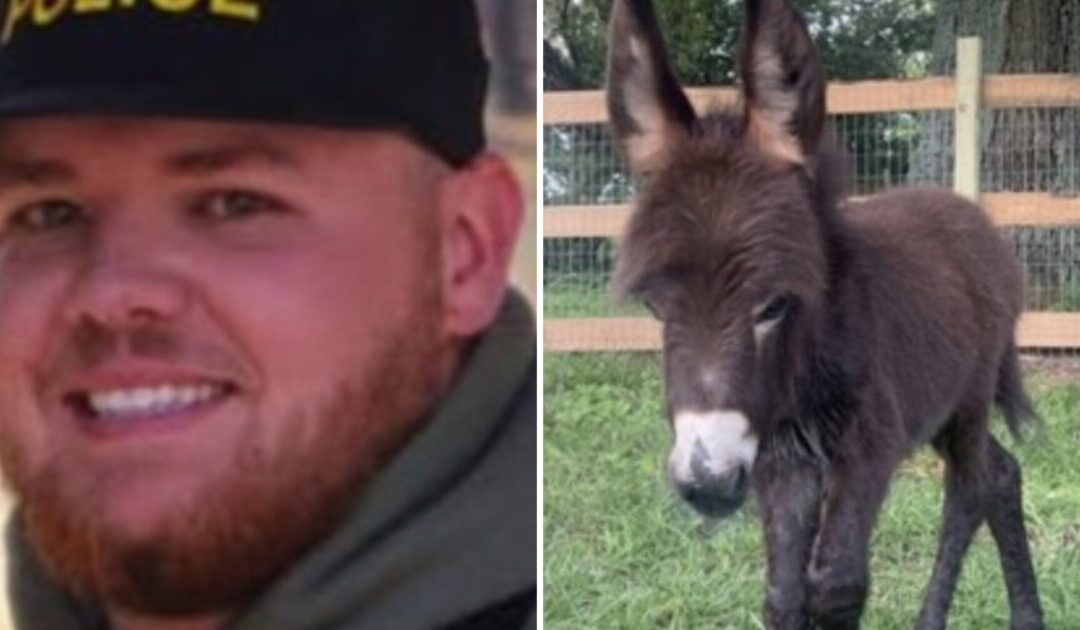 Report Reveals the Georgia Cop Who Killed Family’s Adorable Baby Donkey and His Stated ‘Reason’ for Taking the Animal’s Life