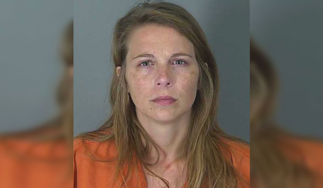 South Carolina Mom Allegedly Stabs Her Two Kids Over 50 Times, Arrested and Taken for Mental Health Evaluation