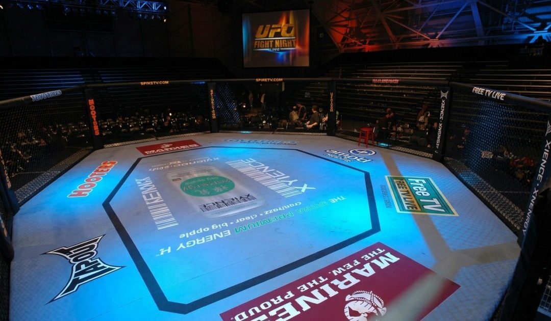 SCARY MOMENT: UFC Fighter Goes Limp During Fight and Gets Taken Out on Stretcher (VIDEO)