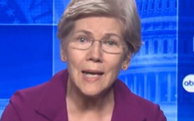 Democrats Continue to Attack the Second Amendment Even After Heroic Good Guy with a Gun Ends Bend Elementary School Shooting That Killed Three Children and a Teacher