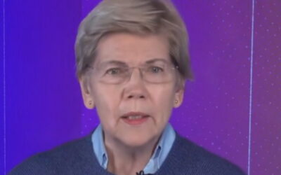 PURE PROJECTION: Elizabeth Warren Frets About Trump and the Midterms: ‘I Worry About Election Interference’ (VIDEO)