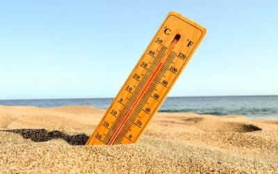 Southern California Power Providers Urge Residents to Conserve Energy, Avoid Using Major Appliances Amid Sweltering Heat Wave to Avoid Rolling Blackouts
