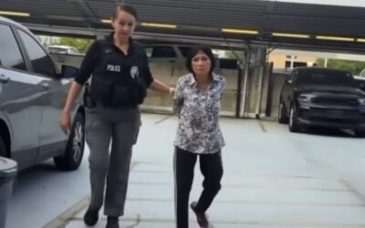 SoCal: Elderly Orange County Woman Arrested For Dumping Puppy on the Street, Then Running Over It with Minivan (VIDEO)