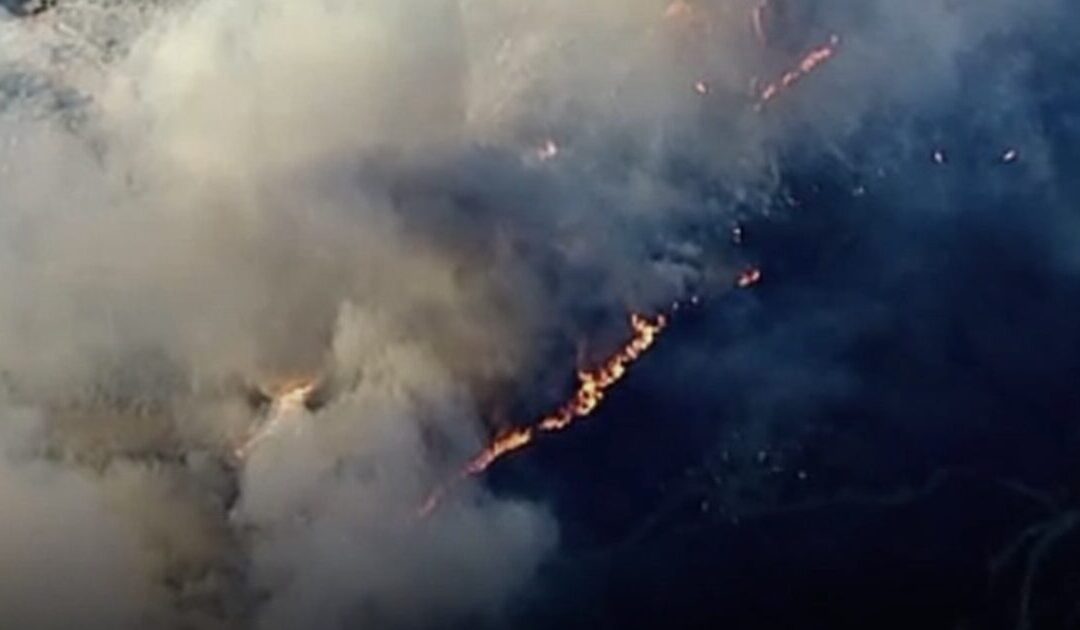 DEVELOPING: Wildfire Erupts in Malibu Amid Gusty Santa Ana Winds (VIDEO)
