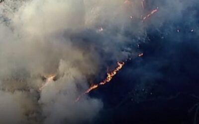 DEVELOPING: Wildfire Erupts in Malibu Amid Gusty Santa Ana Winds (VIDEO)