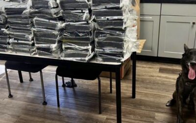 California Police Dog Sniffs Out 440 Pounds of Cocaine Stuffed Inside SUV