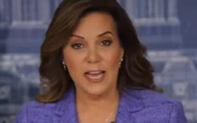 Minnesota Republican Senate Candidate Michele Tafoya Releases Five-Point Plan for Dealing With Somali Gang Violence (VIDEO)