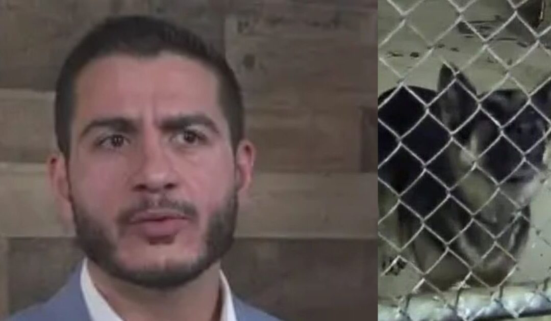 Judicial Watch Goes to Court to Force Detroit to Release Animal Kill Numbers from Abdul El-Sayed’s ‘Slaughterhouse’ Years