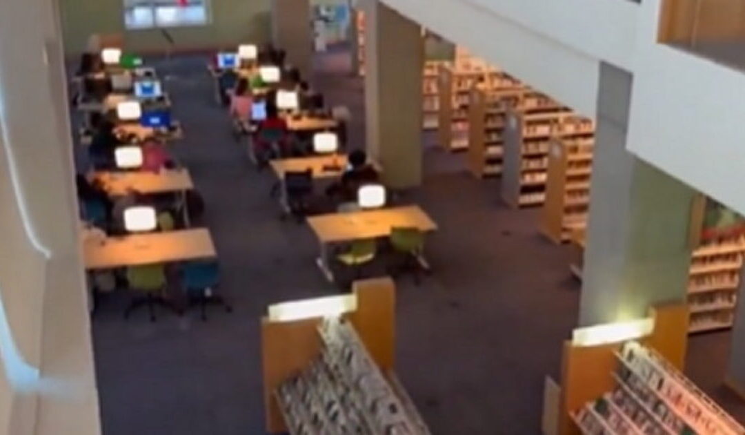 Santa Monica, California Library That’s Popular With Homeless Population Tests Positive for Human Feces and E Coli (VIDEO)